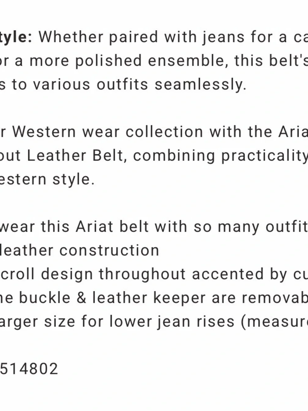 Ariat Paisley Design Cutout Leather Belt, Size L